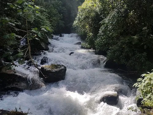 Sendero Los Quetzales