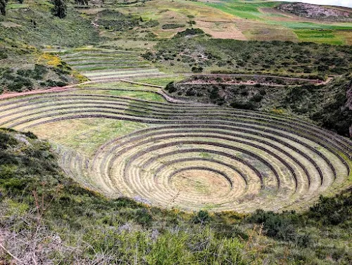Moray