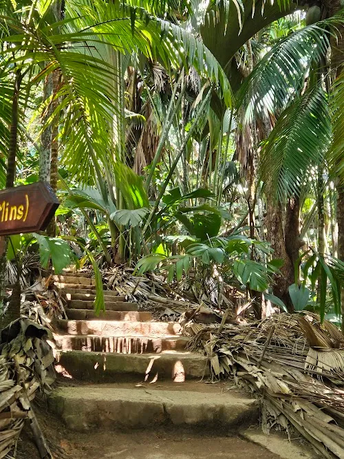 Vallée de Mai