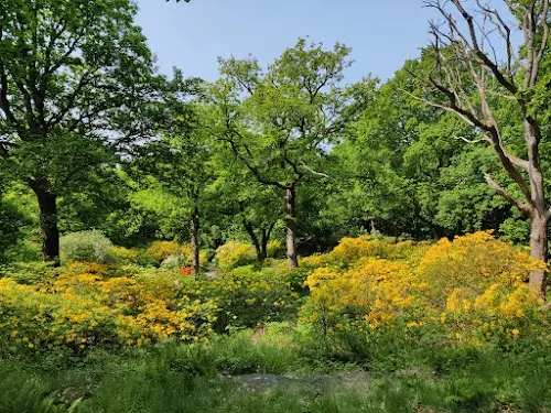 Slottsskogen