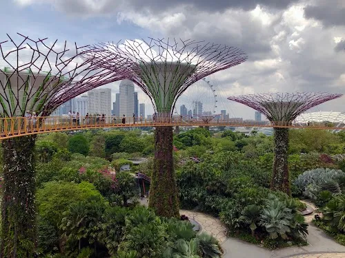 Jardines de la Bahía