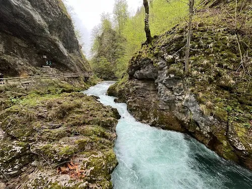 Garganta de Vintgar