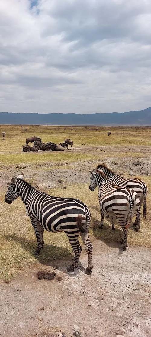 Parque Nacional del Cráter de Ngorongoro