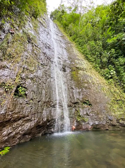 Cascada Manoa