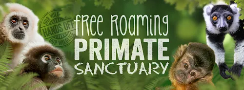 Santuario de Primates Monkeyland