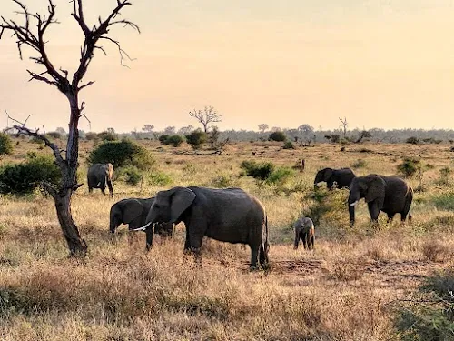 Parque Nacional Kruger