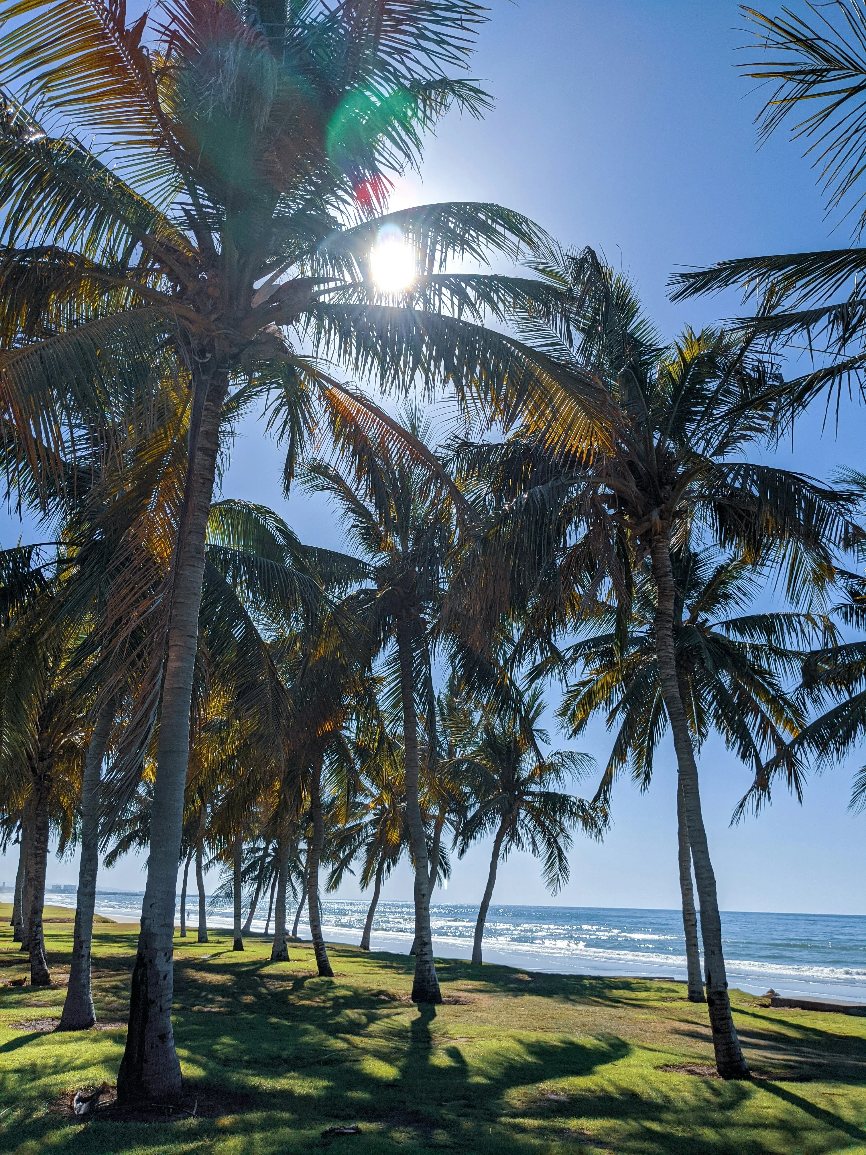Qurum Beach