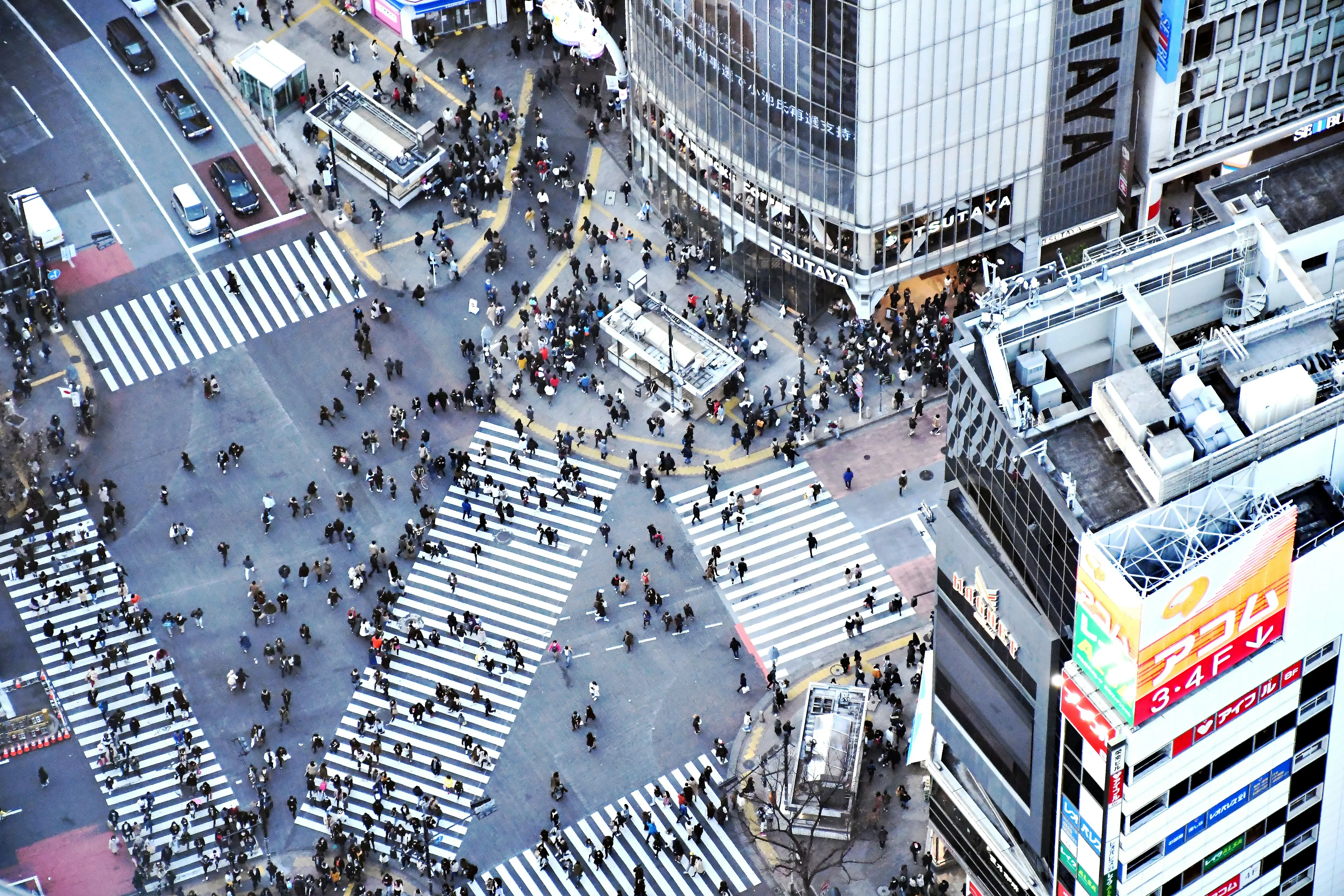 Shibuya Crossing