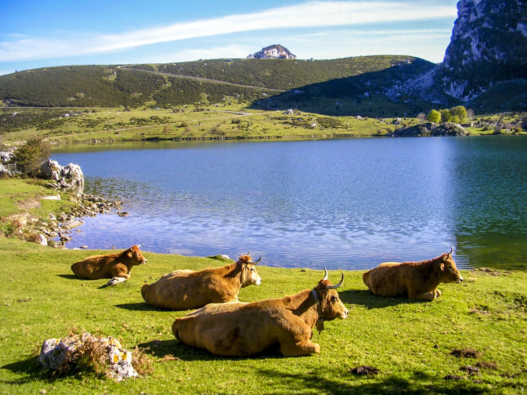 Lagos de Covadonga