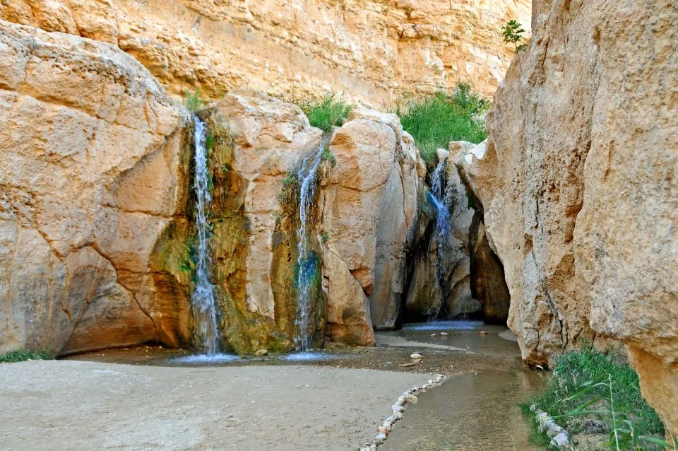 Oasis de Tamerza