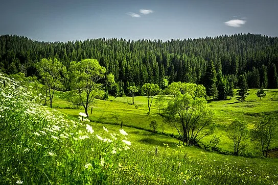 Parque nacional de los Ródope