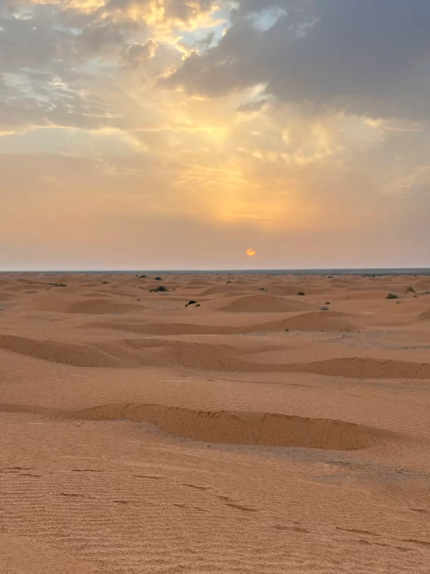 Excursión al desierto de Ksar Ghilane