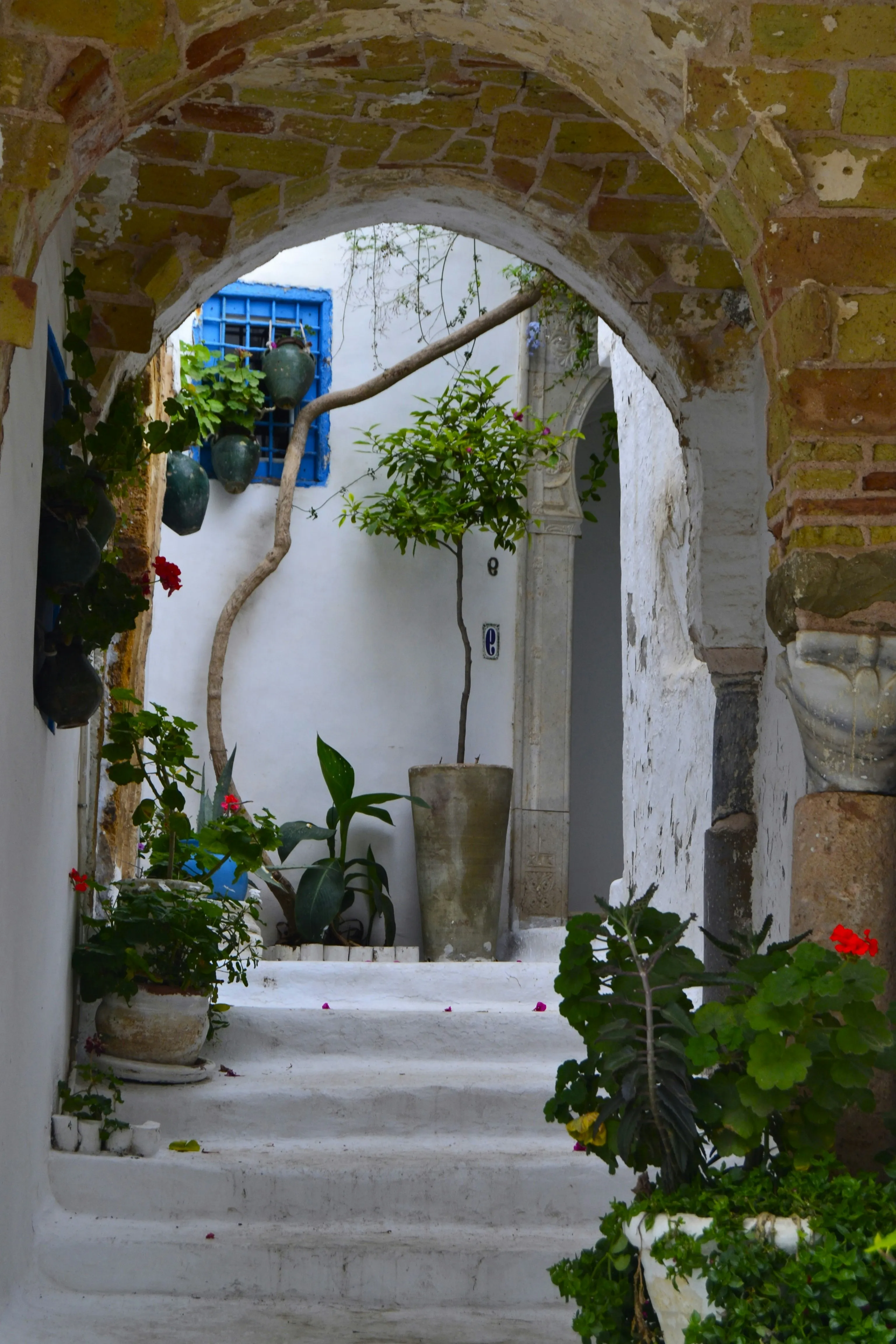 Excursión a Cartago y Sidi Bou Said