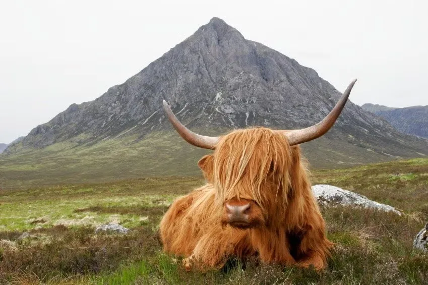 Tour por las Highlands y Skye de 3 días y 2 noches