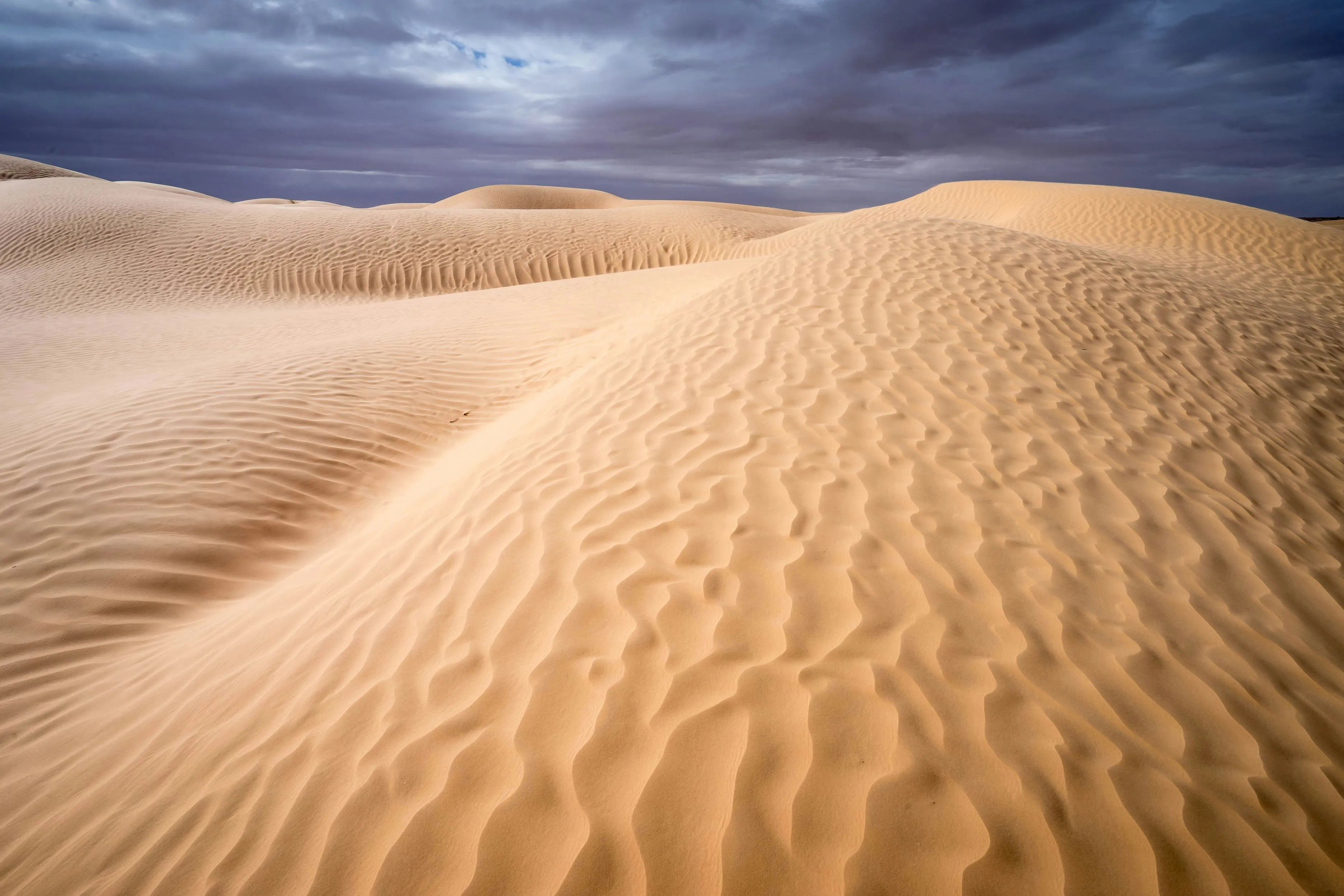 Tour de 8 días del desierto al mar