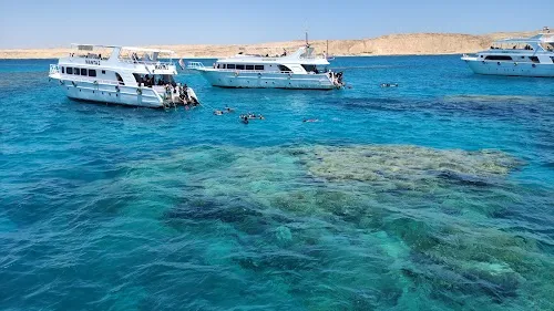 Isla de Tiran