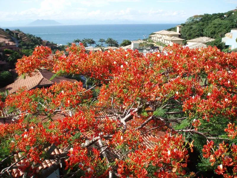 Pousada Hibiscus Beach