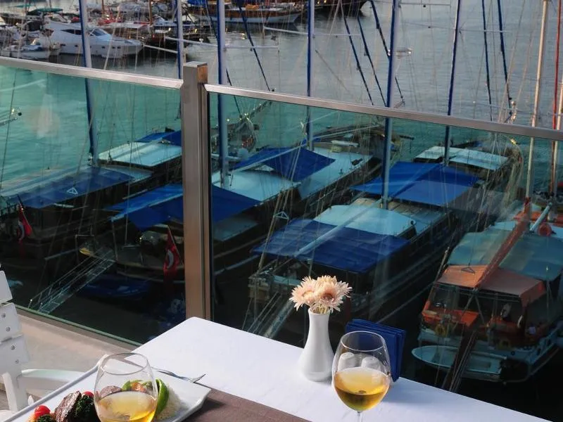 Alesta Yacht