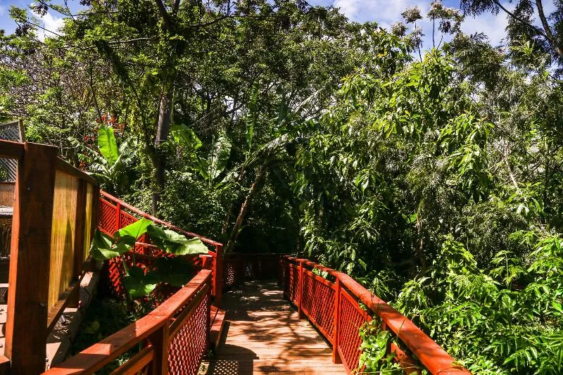 Easter Island Eco Lodge