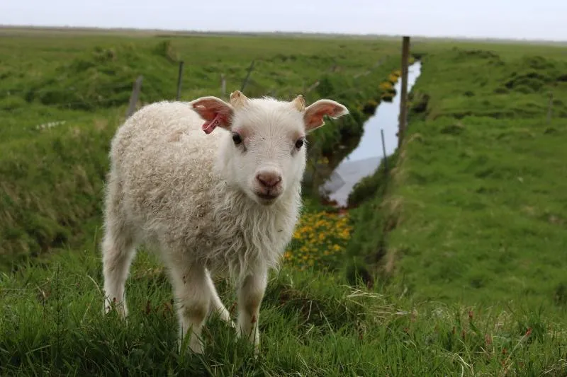 Hótel Geirland