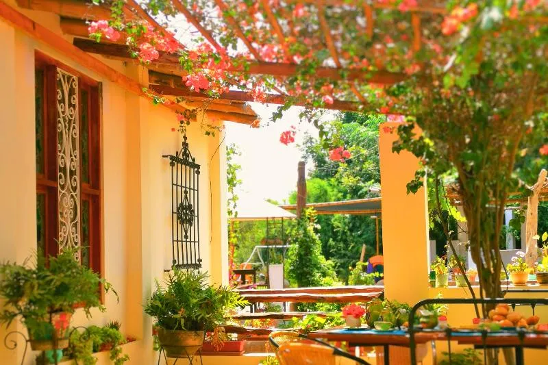 Serenity Lodge